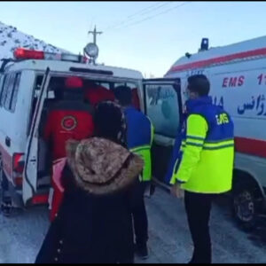 کودک ۶ ساله سردشتی با اقدام فوری امدادگران نجات پیدا کرد؛ نجات ۲ بیمار