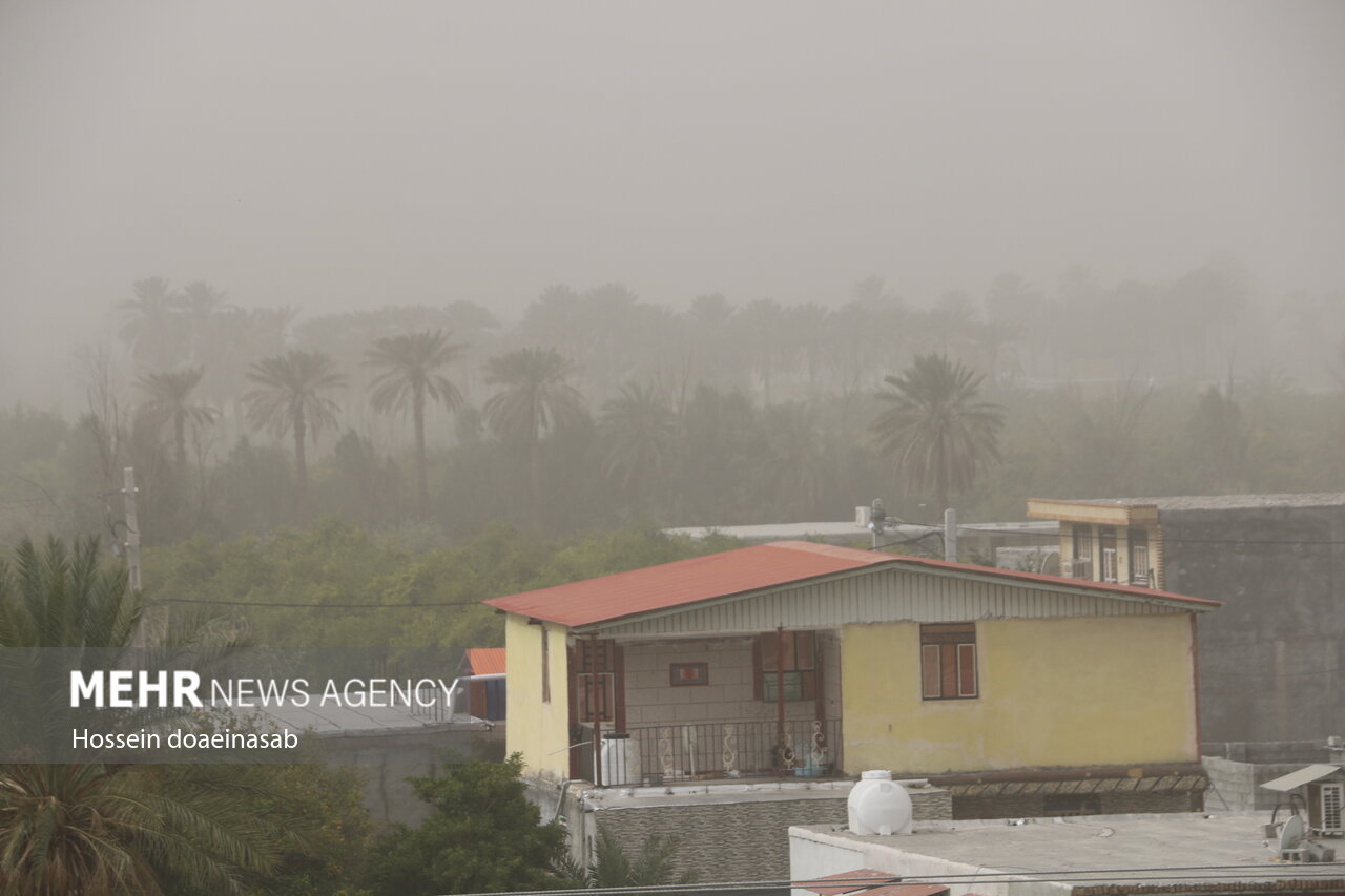 ورود طوفان و گرد و خاک به هرمزگان؛ گرد و خاک هشتبندی را در نوردید