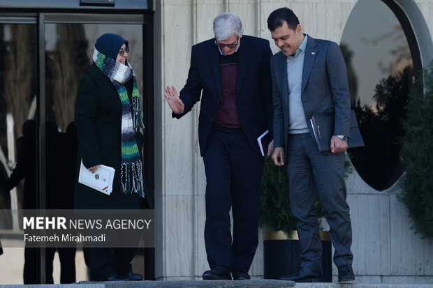 حاشیه جلسه هیئت دولت