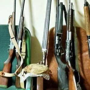 اصلانی: ۷ قبضه سلاح شکاری در شاهین دژ کشف شد