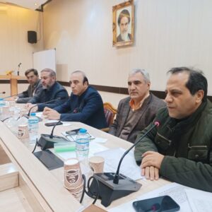 افزایش ۱۱ درصدی تولید گوشت مرغ در استان اردبیل