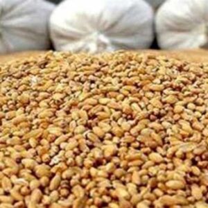 پرداخت تسهیلات برای خرید نهاده‌ با حذف ارز ترجیحی