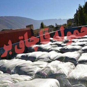 بیش از ۲ تُن برنج قاچاق در سروستان کشف شد