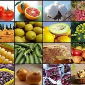 واحدهای صنفی دهلران برای خدمات رسانی به مردم همکاری کنند