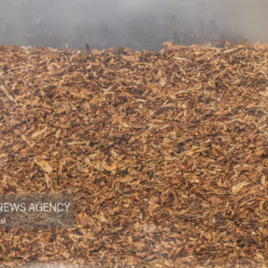 ۲۷ درصد بازار سیگار و ۹۳ درصد بازار تنباکو در اختیار قاچاقچیان است