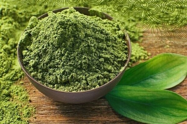 کارگاه حناسایی دلگان؛ پیوند سنت و اشتغال