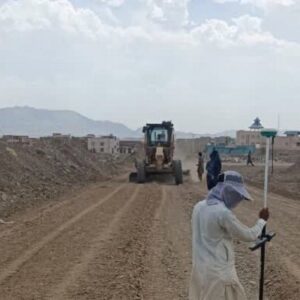 صادقی: طرح ۳۰ ساله الحاق اراضی تعاونی‌ها وارد مرحله اجرا شد