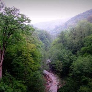 اکبری: ساماندهی وضعیت اراضی موقوفه و ملی شیخ موسی ضروری‌است