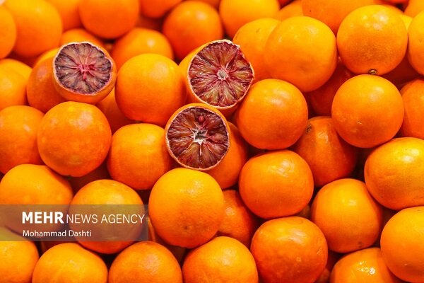 ۶۰ هزار تنی کیوی و مرکبات مازندران به بازارهای جهانی صادر شد