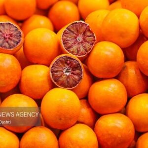 تشدید نظارت قضایی برای آرامش بازار ایلام