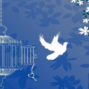 ۵ آزادی و ۷ مرخصی در بازدید قضایی روز پدر از زندان دماوند