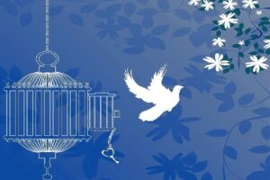 امسال ۲۴۰ مددجوی یزدی با کمک مردم از زندان آزاد شدند