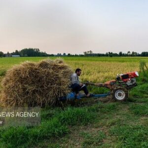 بهجت حقیقی: ۱۲ درصد محصولات کشاورزی کشور در فارس تامین می‌شود