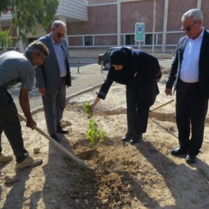 اجرای پویش درختکاری در ۸ نقطه استان سمنان به مناسبت روز پدر