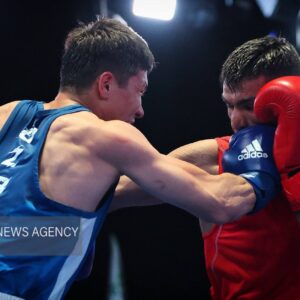 چشمه‌سیماب: بوکسور شیروانی موفق به کسب مدال برنز قهرمانی کشور شد