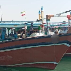 کشف محموله سموم کشاورزی قاچاق در بندرلنگه