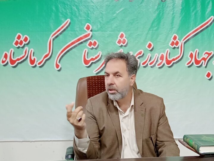 اجرای طرح انتخاب مشارکتی نخود و عدس در کرمانشاه