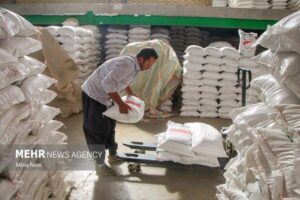 عرضه ۶ تن برنج پاکستانی در شهرستان گلبهار