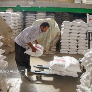 عرضه ۶ تن برنج پاکستانی در شهرستان گلبهار