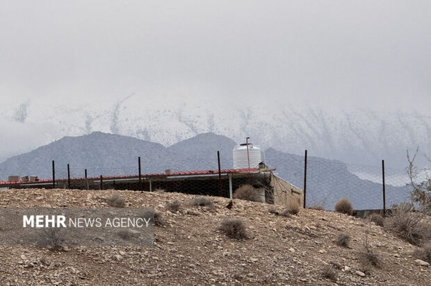 کوهشاه احمدی سفیدپوش شد