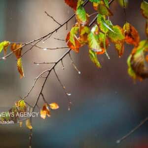 سامانه بارشی از روز جمعه وارد ایلام می شود