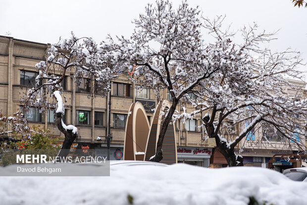 وزش باد و ورود سامانه بارشی به خراسان رضوی