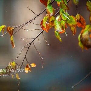  سامانه بارشی جدید وارد لرستان می‌شود