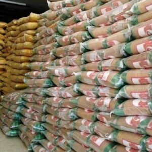 بخشدار خارگ: ۸ تن برنج حمایتی برای بازار جزیره تامین شد