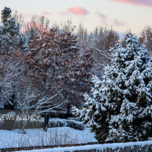 رحمان نیا: بارش پراکنده برف استان زنجان را فرا می گیرد