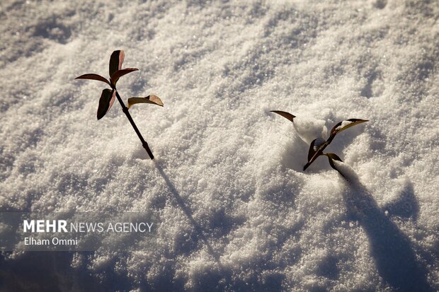 قربانپور: ورود موج بارشی جدید به آذربایجان غربی؛ بارش ها تداوم دارد