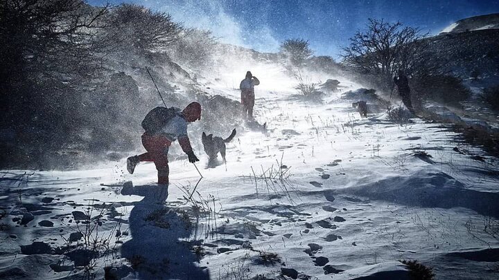 خاکپور:عملیات جستجو نوجوان مفقود شده با مشارکت همه ظرفیت‌ها ادامه دارد