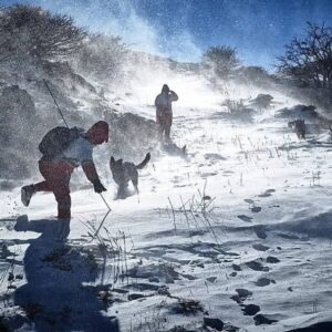 خاکپور:عملیات جستجو نوجوان مفقود شده با مشارکت همه ظرفیت‌ها ادامه دارد