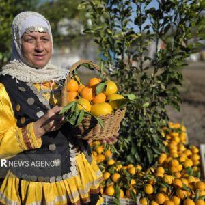 دومین جشنواره شکرانه برداشت پرتقال در روستای پرشکوه لنگرود آغاز شد