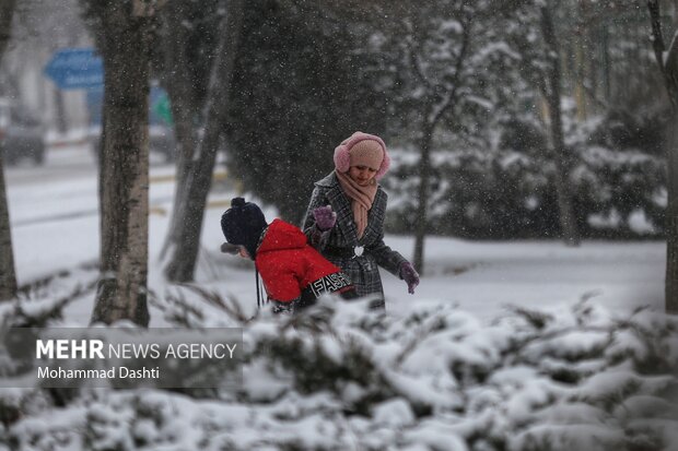 بارش برف و کولاک شدید در اردبیل