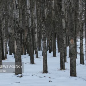 رحمان نیا: هشدار زرد هواشناسی در استان زنجان/بارش برف در راه است
