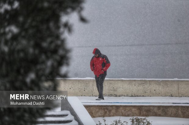 بارش برف و کولاک شدید در اردبیل