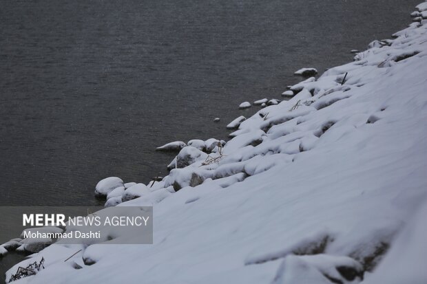 بارش برف و کولاک شدید در اردبیل