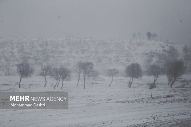 بارش برف و کولاک شدید در اردبیل