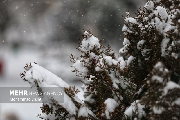 کاهش دما و بارش برف در خراسان رضوی