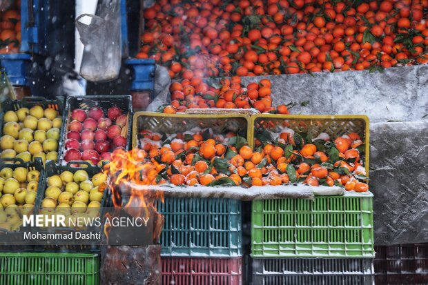 بارش برف و کولاک شدید در اردبیل