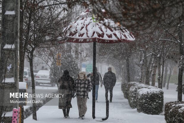 بارش برف و کولاک شدید در اردبیل