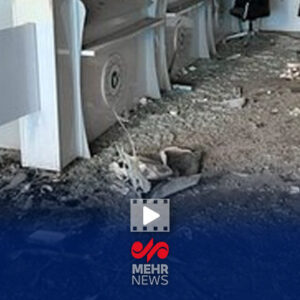 اغتشاشگران بانک را در استان ایلام به آتش کشیدند!