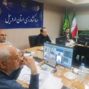 احدی عالی:یارانه کالاهای اساسی به سفره مردم انتقال می یابد