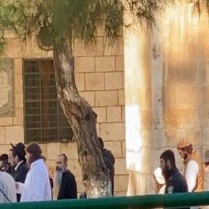 ورود دهها شهرک نشین به مسجدالاقصی