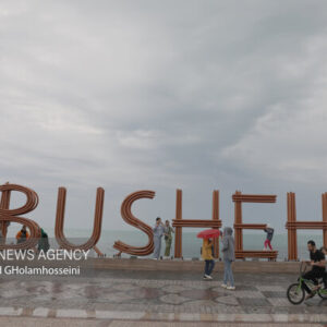 آسایش: چالش‌های شهری در بوشهر حل شود