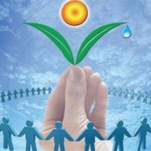 انتخابات نمایندگان سازمان‌های مردم‌نهاد استان بوشهر برگزار شد