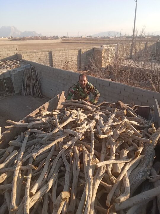 ۵ تُن چوب و ۵۵۰ کیلو زغال تاغ در فلاورجان کشف و ضبط شد