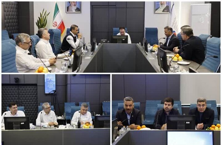 امینی: مرحله دوم رهاسازی بچه‌ماهی در خلیج فارس اجرا می‌شود