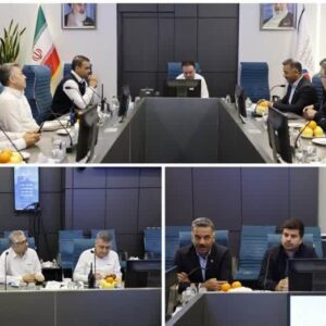 امینی: مرحله دوم رهاسازی بچه‌ماهی در خلیج فارس اجرا می‌شود