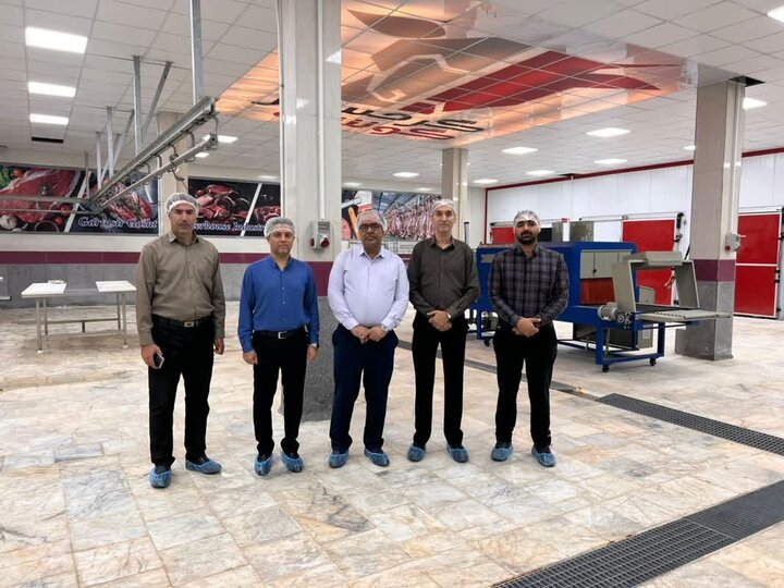 فرماندار بوشهر: صنعتی‌شدن کشتار دام گامی موثر در ارتقای سلامت است